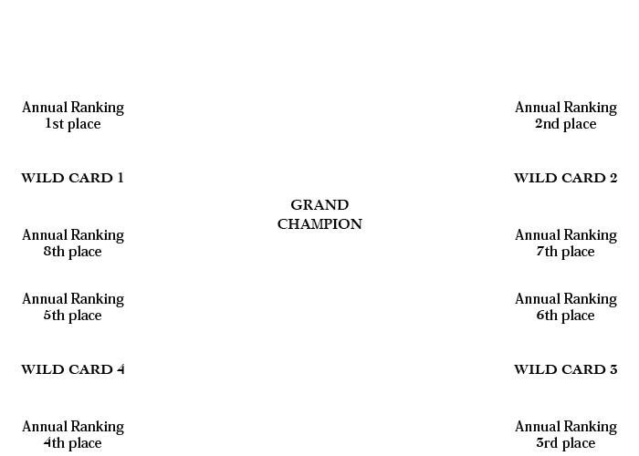 Tournament Format